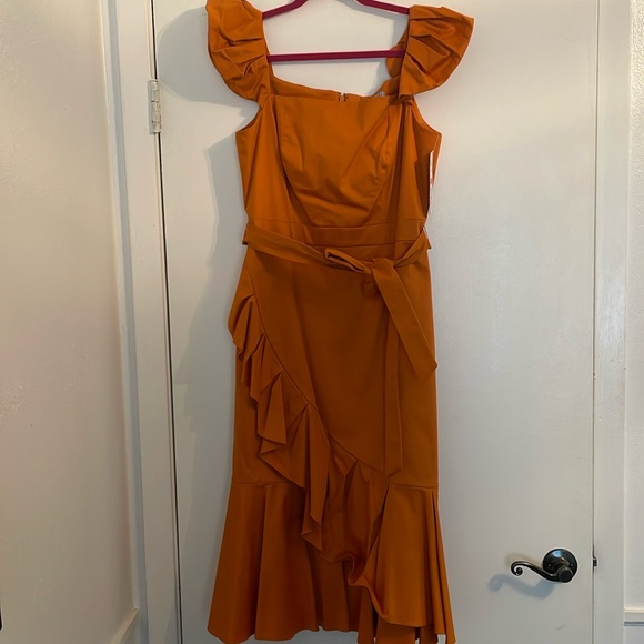 ANTONIO MELANI Dresses & Skirts - Antonio Melani Golden Oak midi Dress size 10